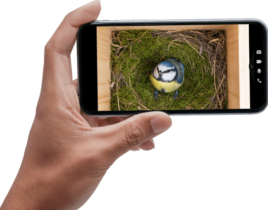 hånd-holder-telefon-dag2